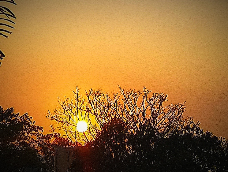 Diwali Baug - Sunset